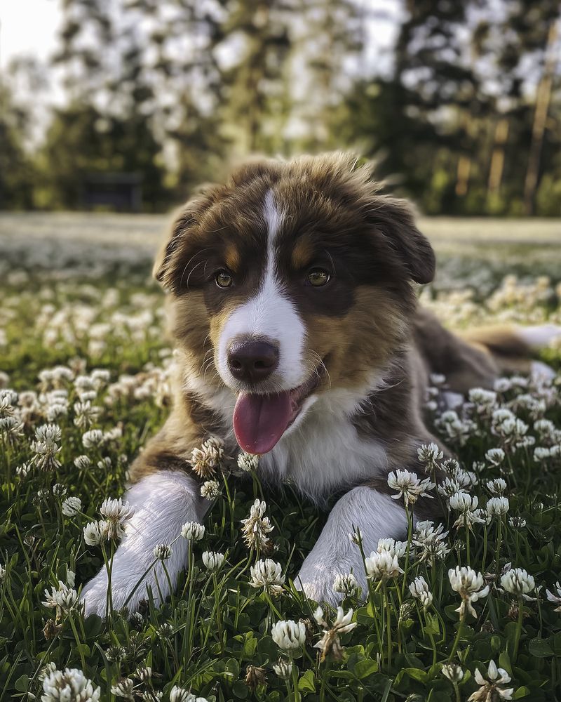 Photograph by Anna Sindikayeva