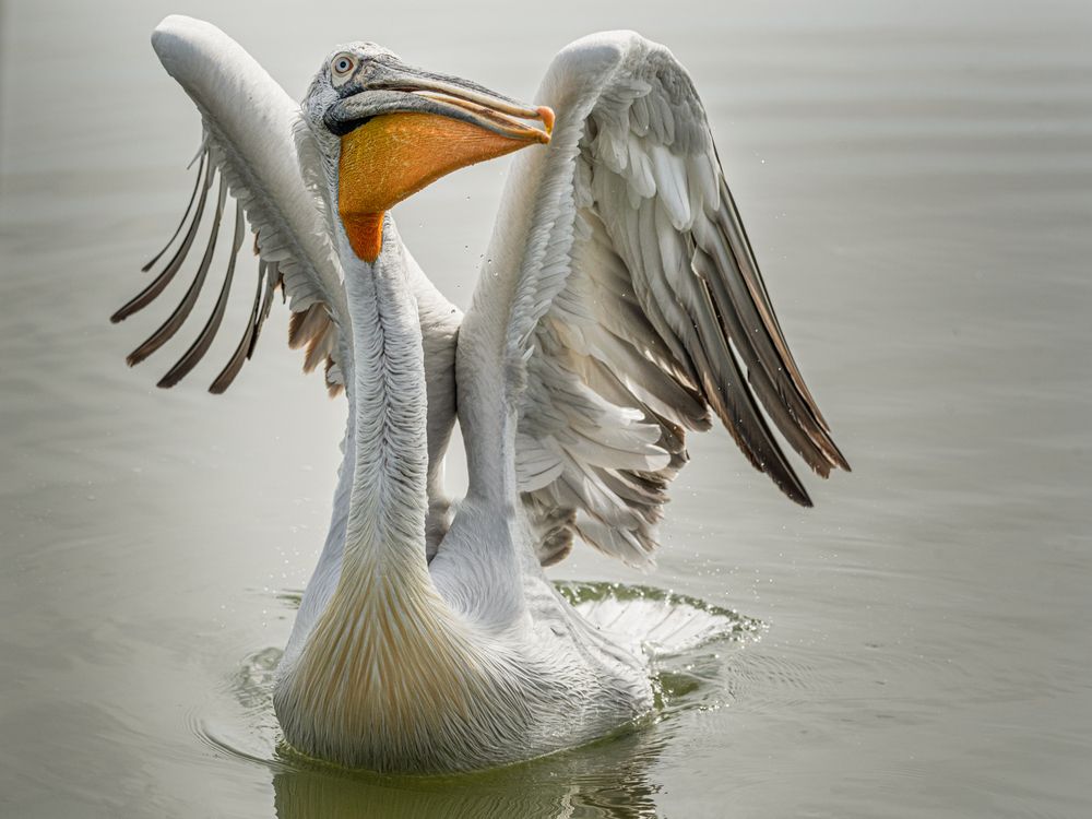 Photograph by Елена Караилиева