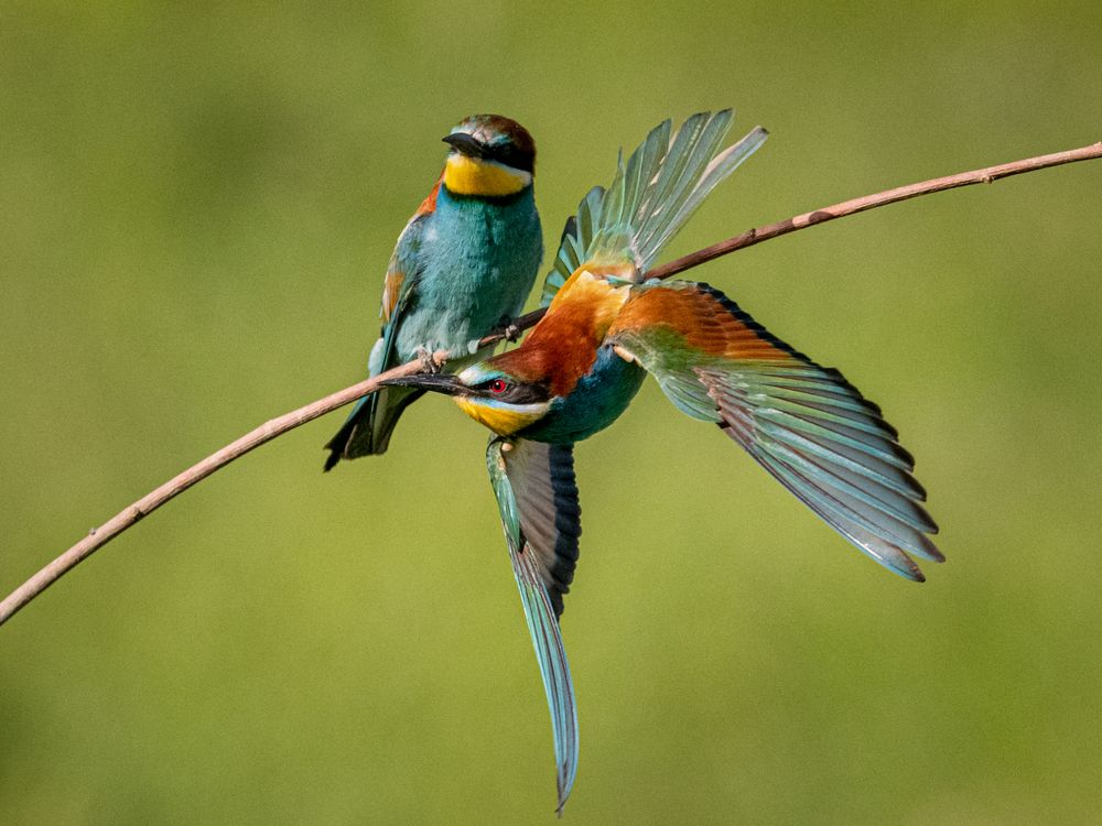 Photograph by Елена Караилиева