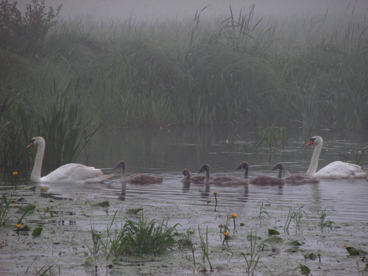 Photo #12350613