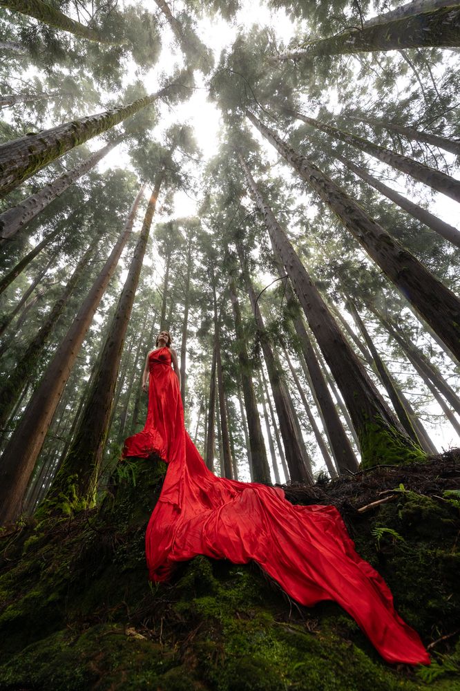 Photograph by Adriana Santos