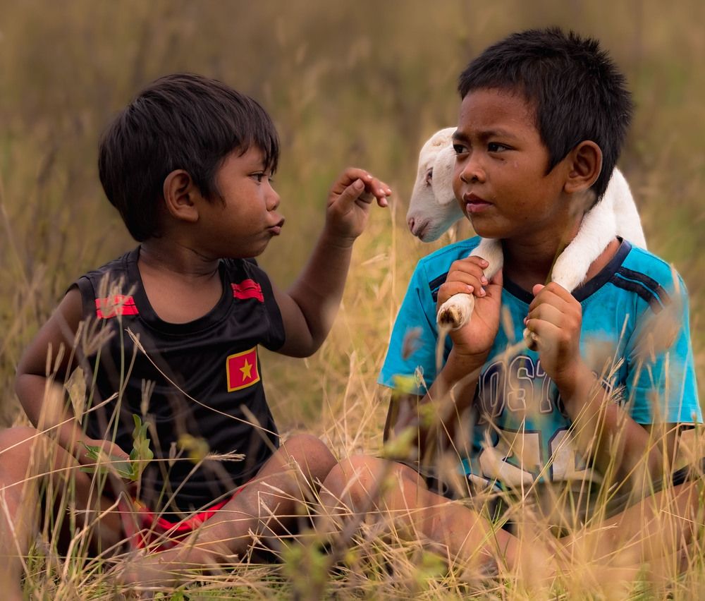 Фотография автора QUAN NGUYEN HUNG