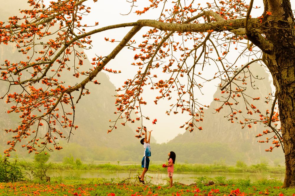 Фотография автора QUAN NGUYEN HUNG