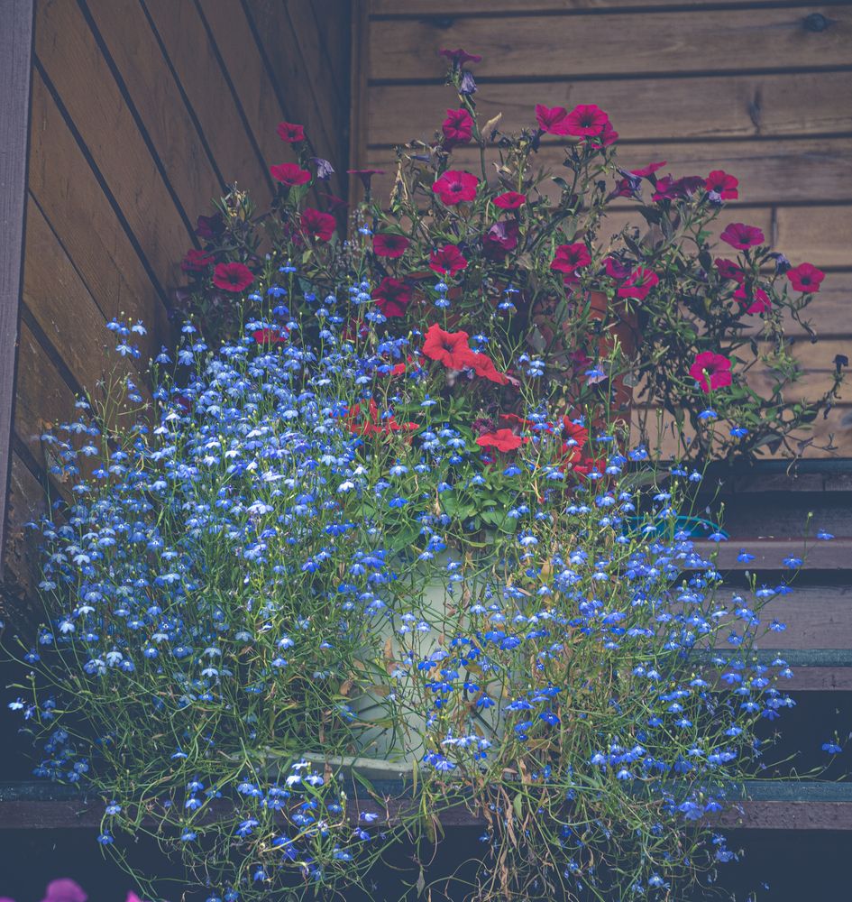 Photograph by Anna Prohorova