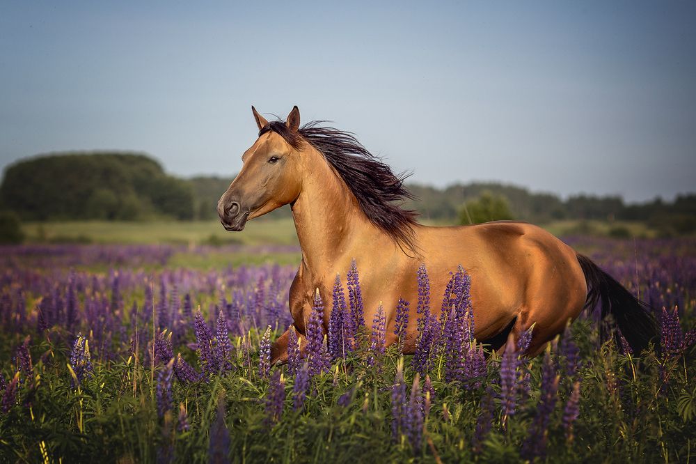 Photograph by Елена Самусенкова