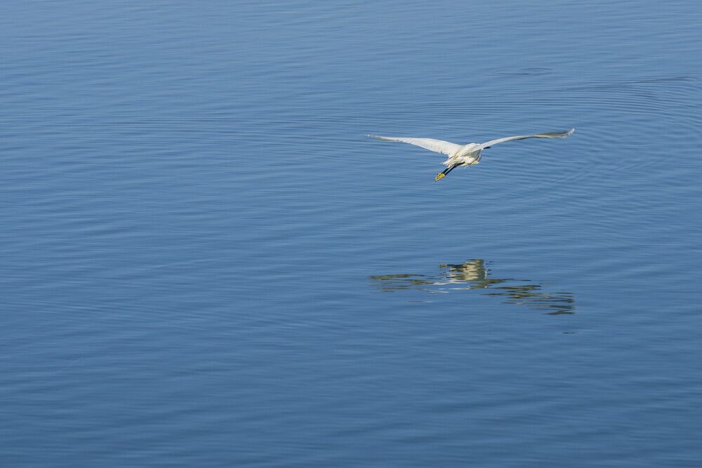 Photograph by Alexandros Melidis