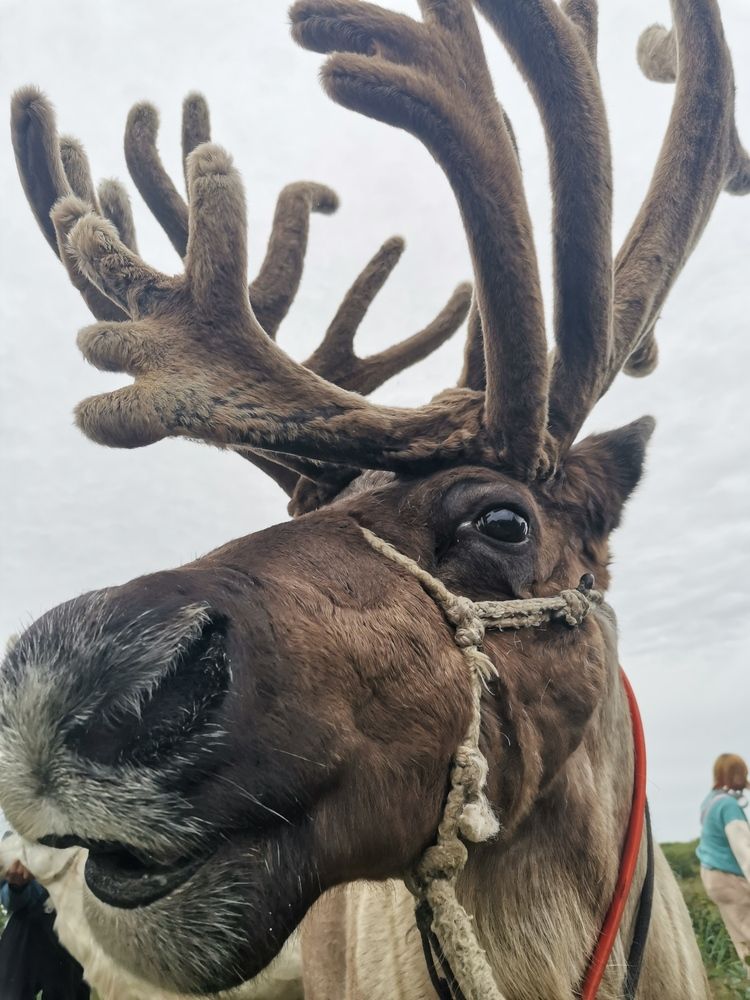 Photograph by Ольга Логарева