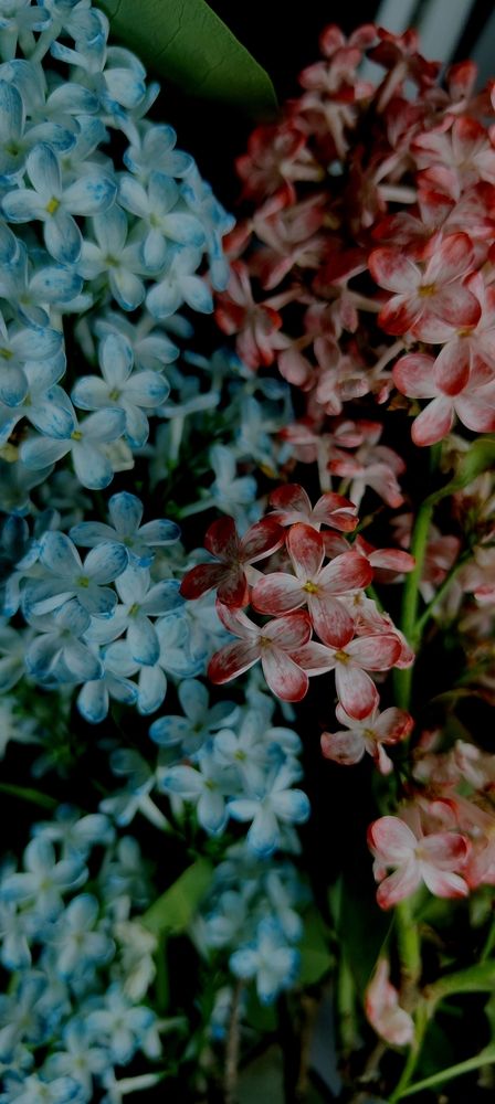 Photograph by Дарина Ворошилова