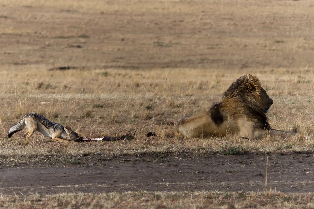 stealing behind the back