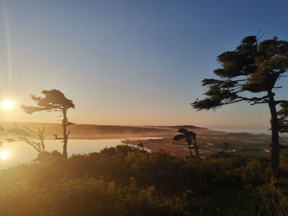 Photograph by Ольга Логарева