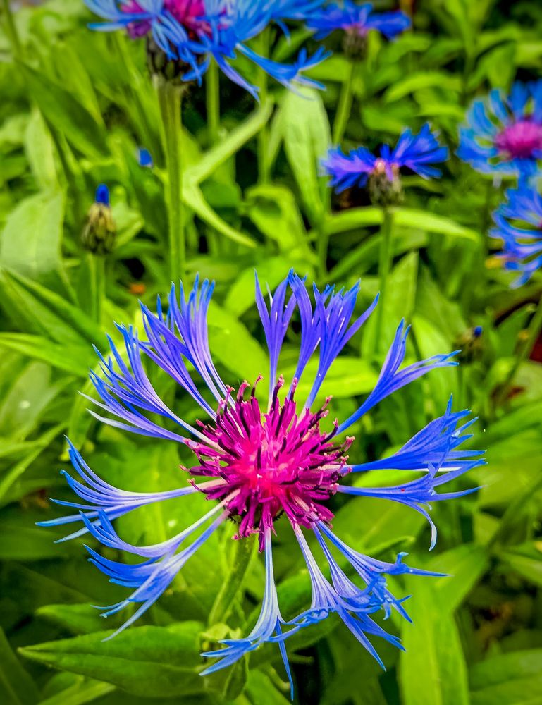 Photograph by Алексей Копылов