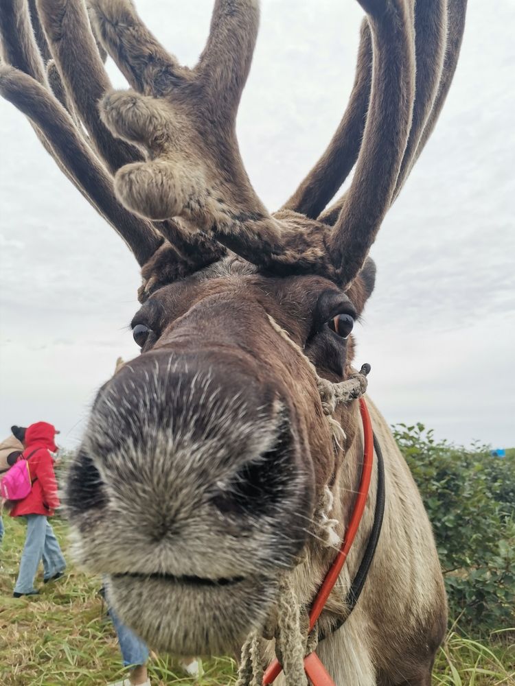 Photograph by Ольга Логарева