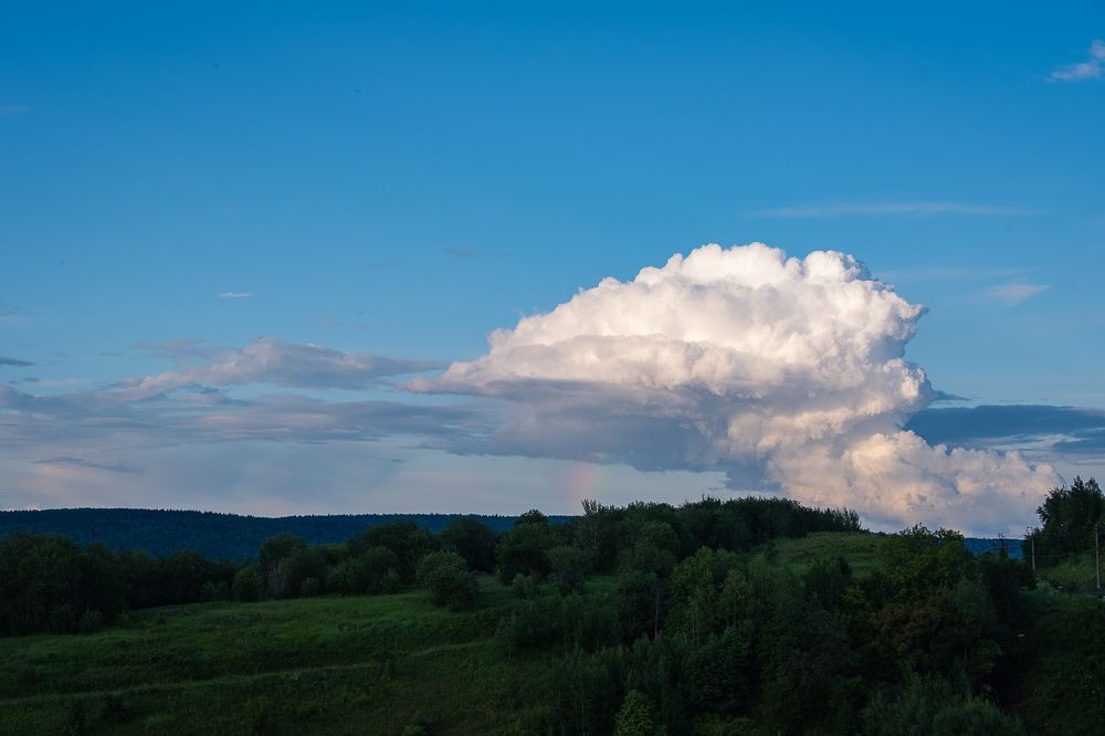 Фотография автора Светлана Ощепкова
