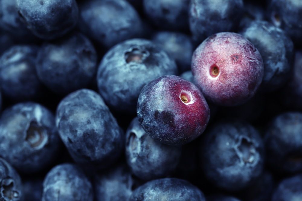 Photograph by Лада Денисова