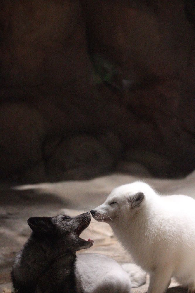 Фотография автора Яна Сергеева