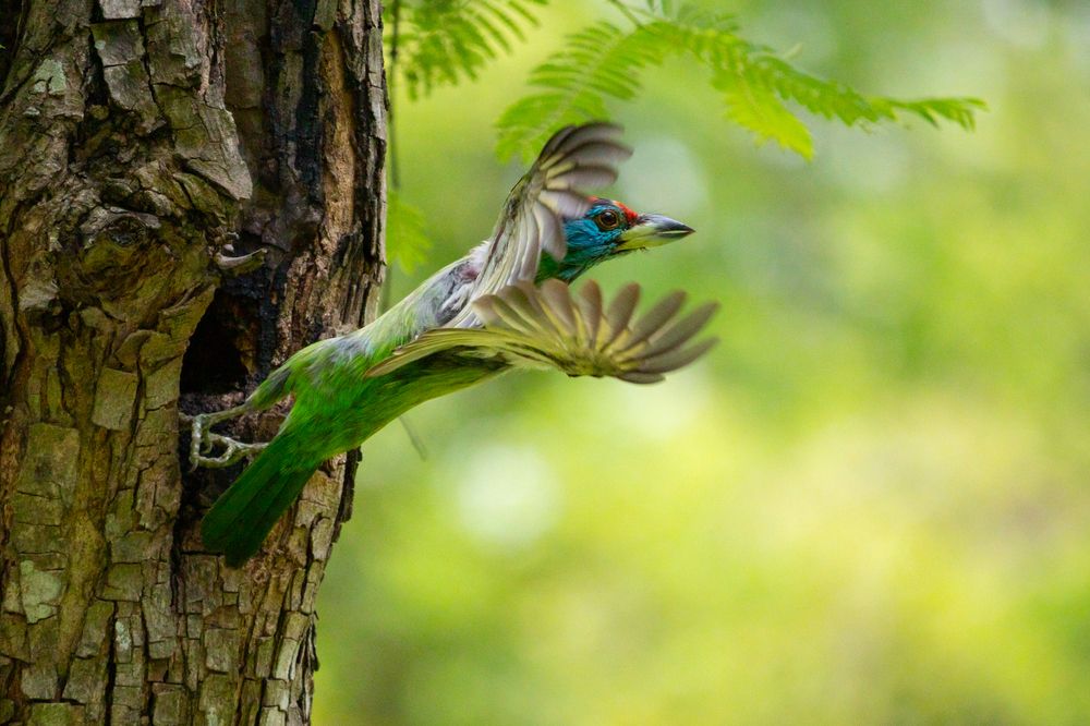 Photograph by Ishtiyak Shadab