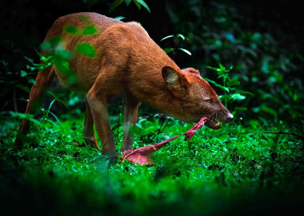 Photograph by Siddarth Sheri