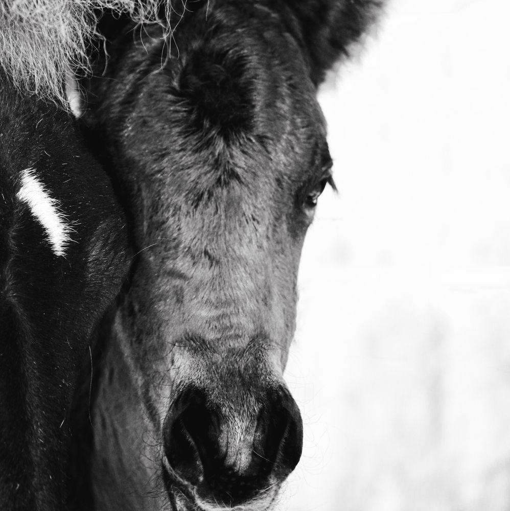 Photograph by Sarah Göhler