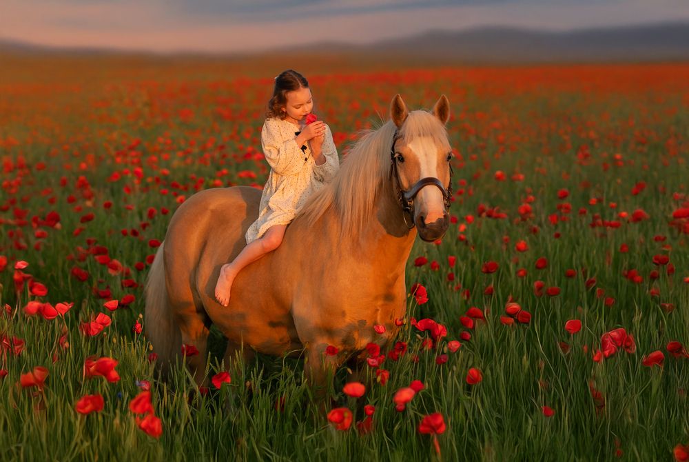 Фотография автора Ирина Пиманова