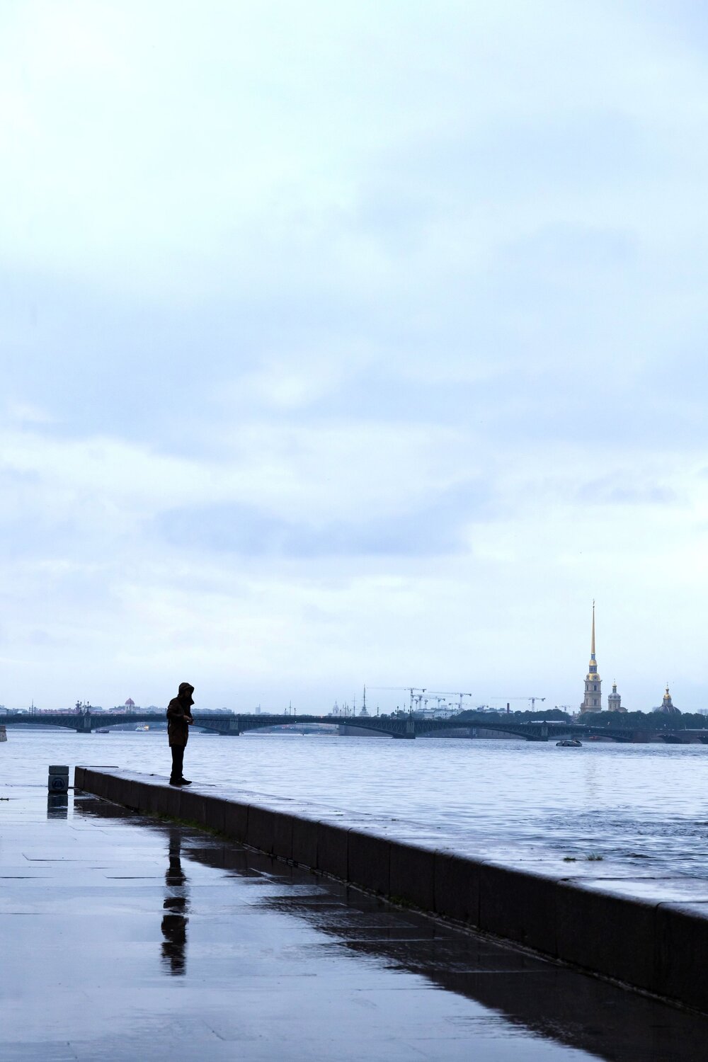 Photo #12351214