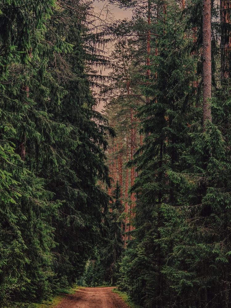 Photograph by Инна Мухина