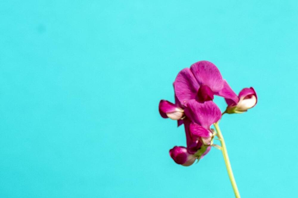 Photograph by Николай Чичерин