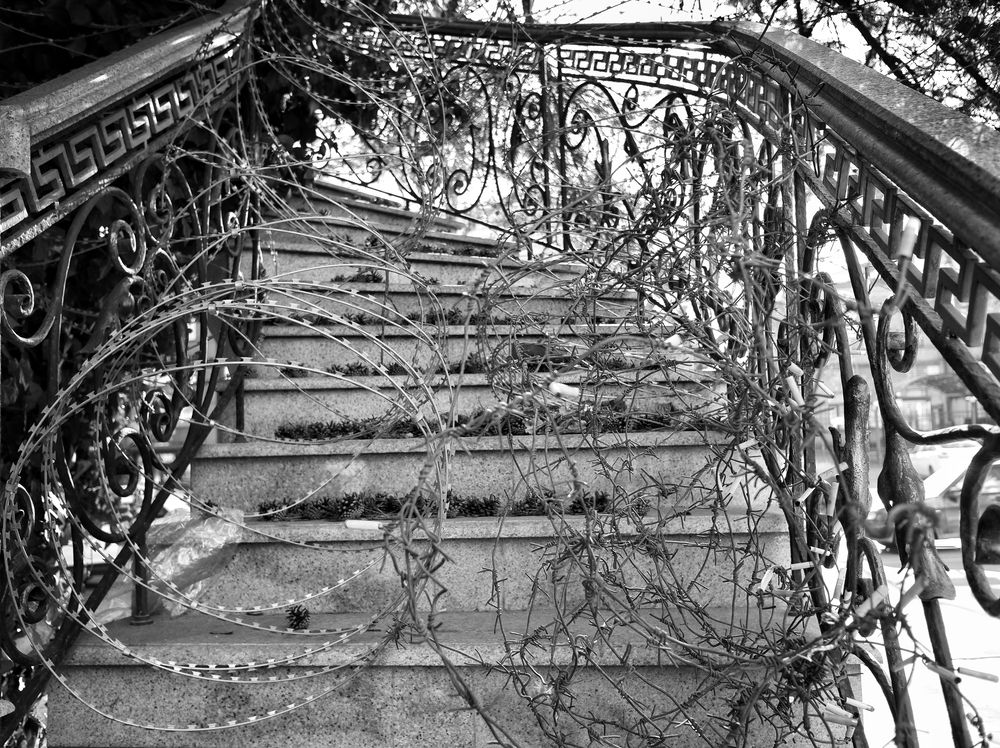 Photograph by Зорин Миша