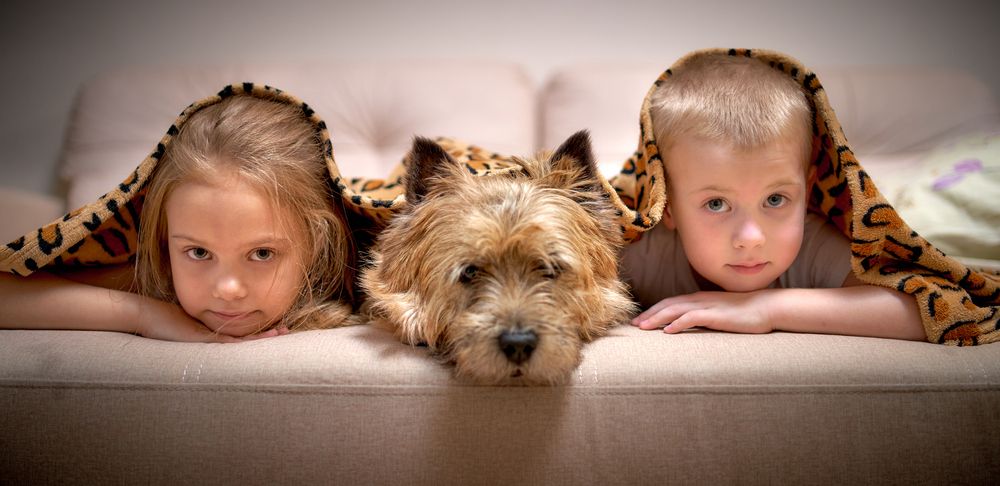 Photograph by Андрей Некрашевич