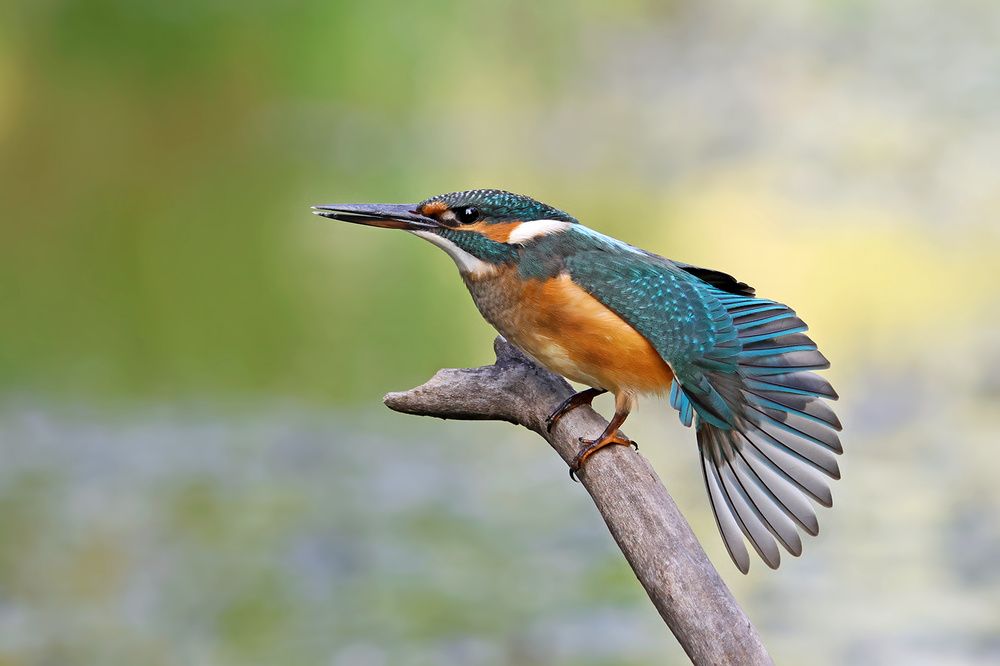 Photograph by Шульгин Вадим