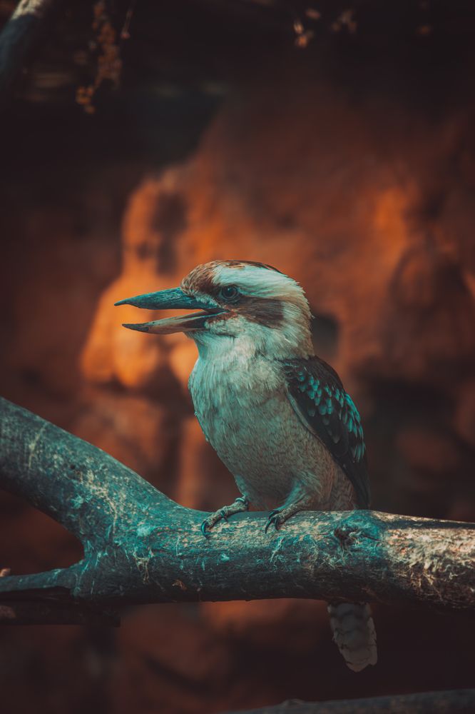 Silent look