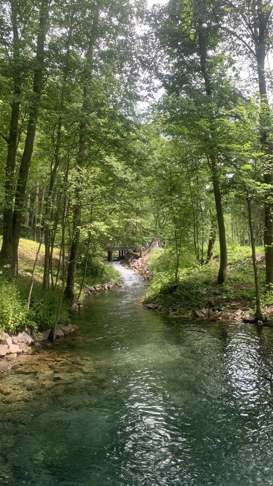 Photograph by гульназ замалеева