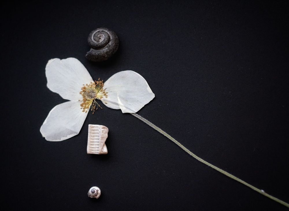 Photograph by AlexaL