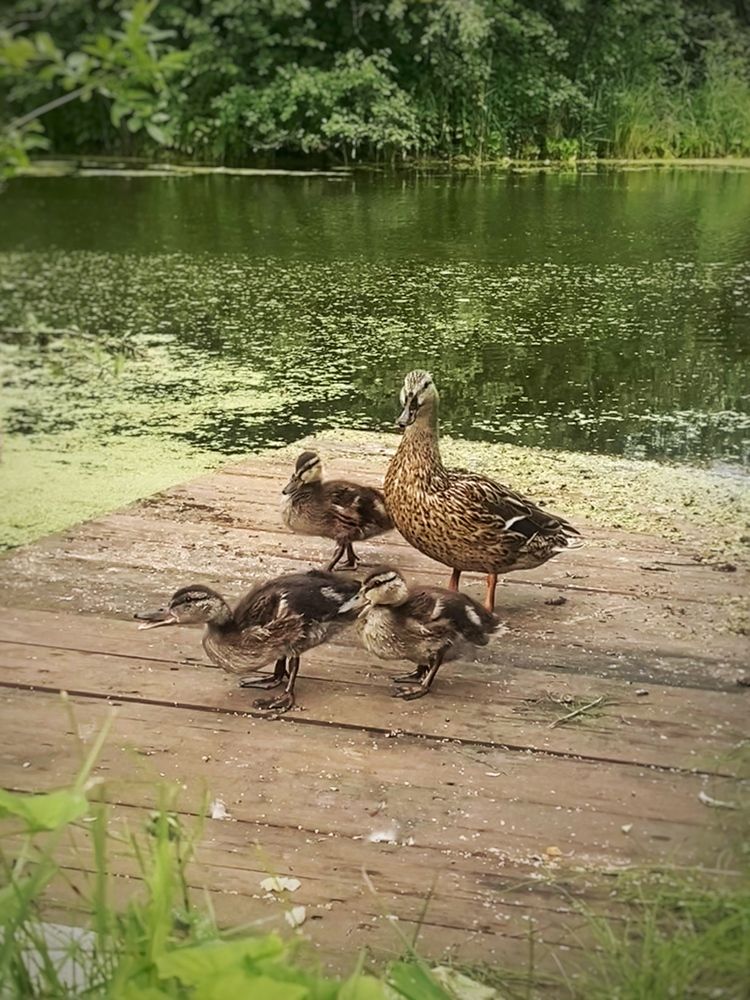 Photograph by Станислава Садыкова