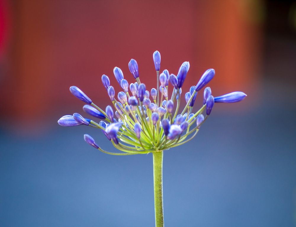 Photograph by Agita Leimane