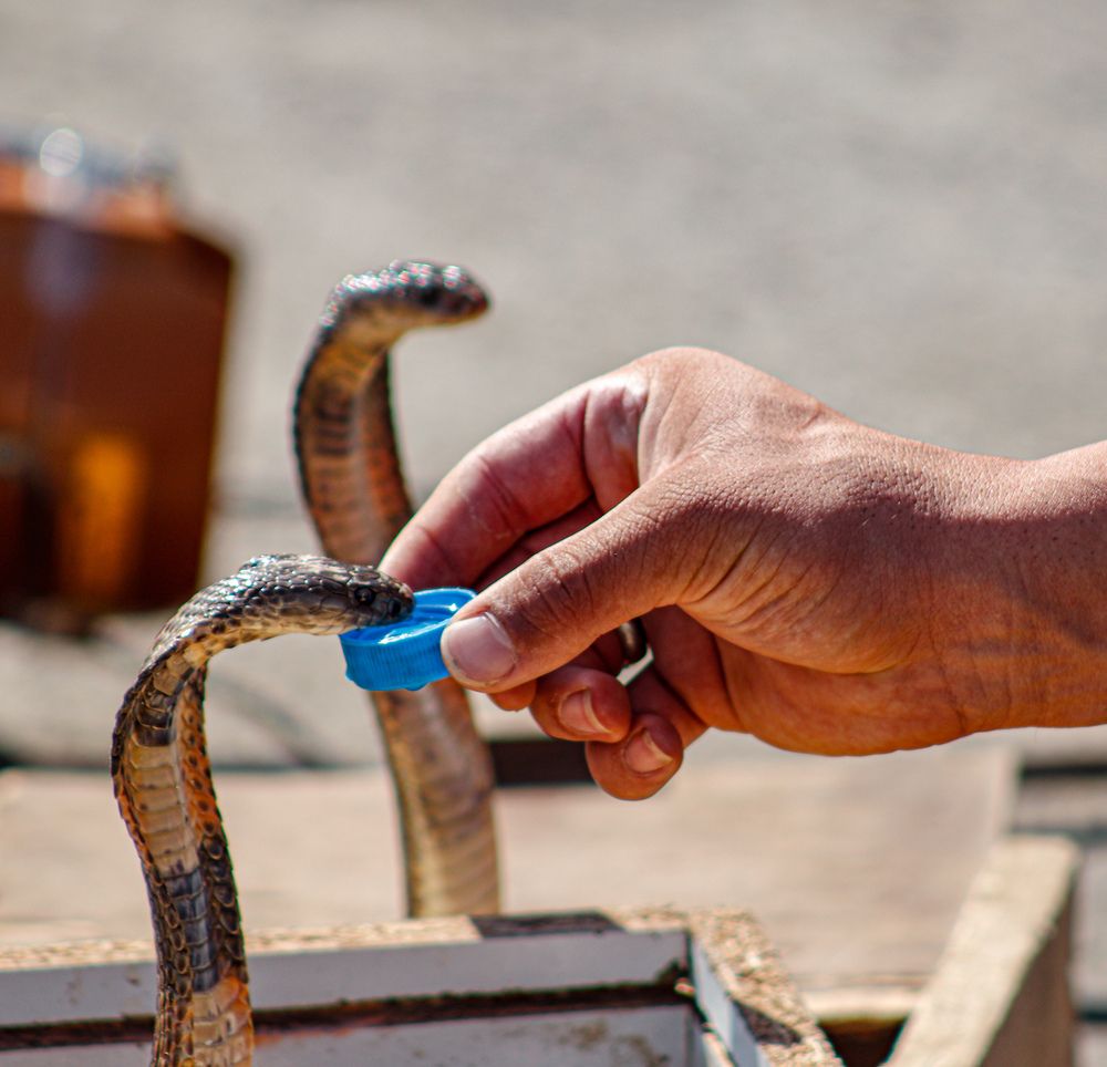 Photograph by Mehrad Mallaei