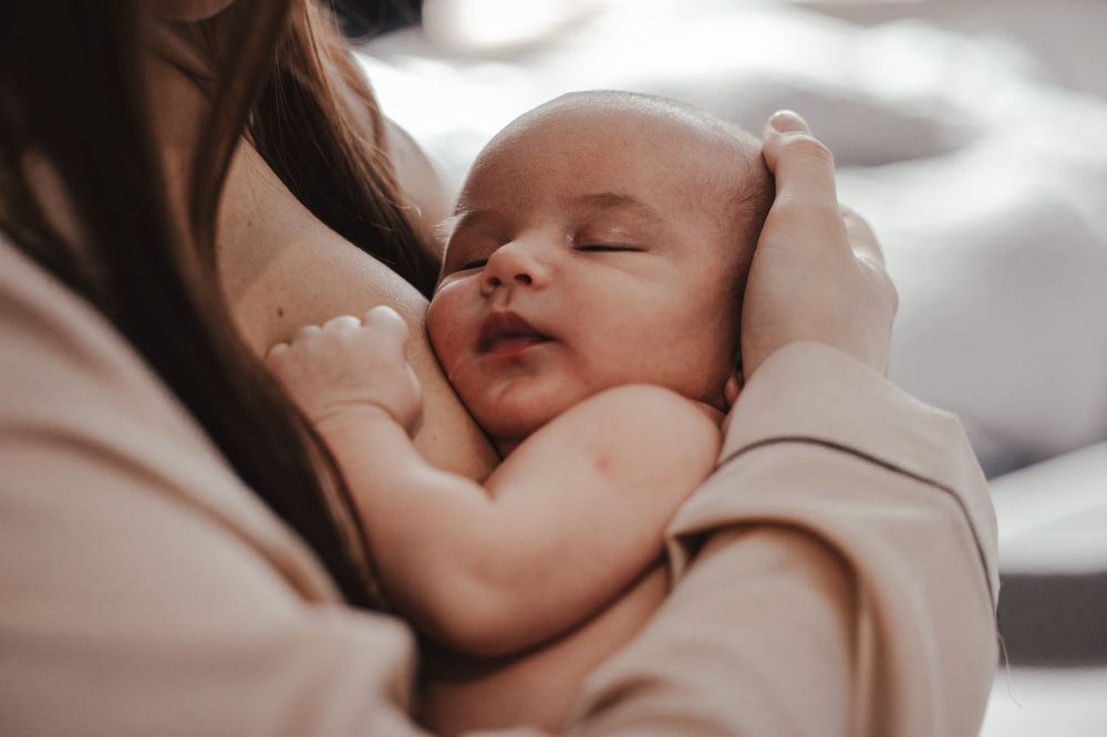 Photograph by Diana K