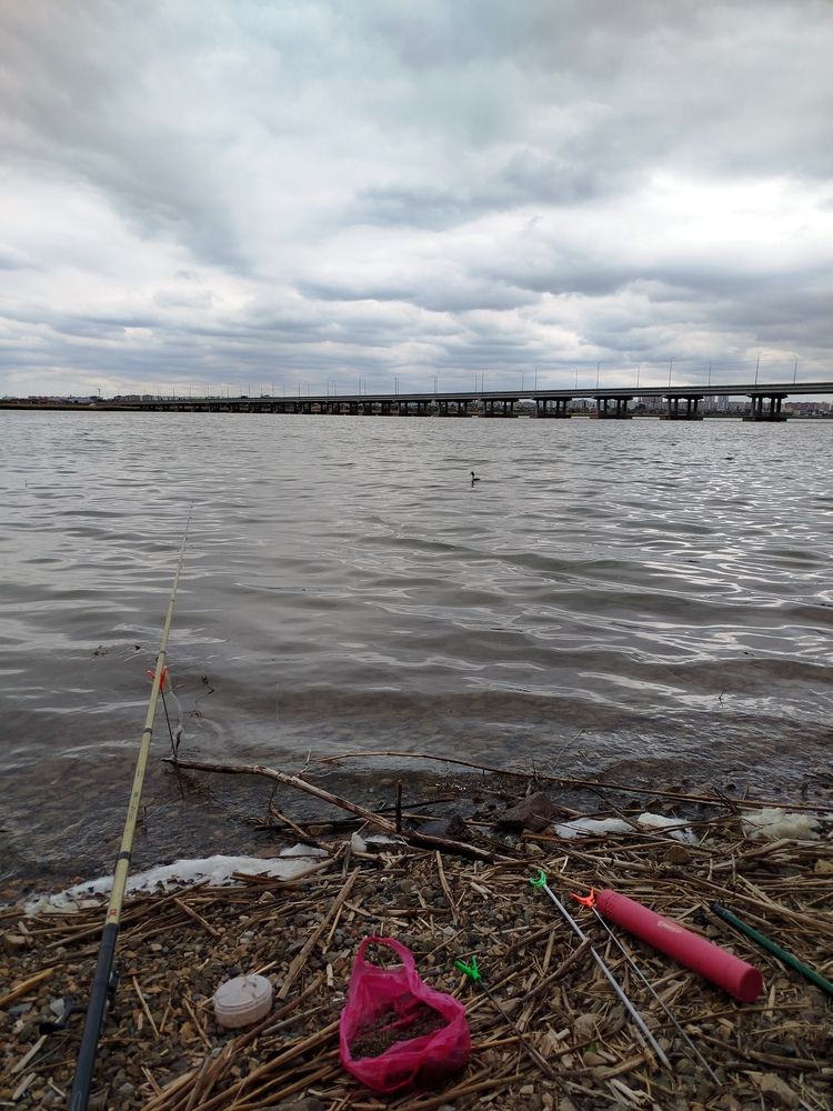 Photograph by Елизавета Слесарева