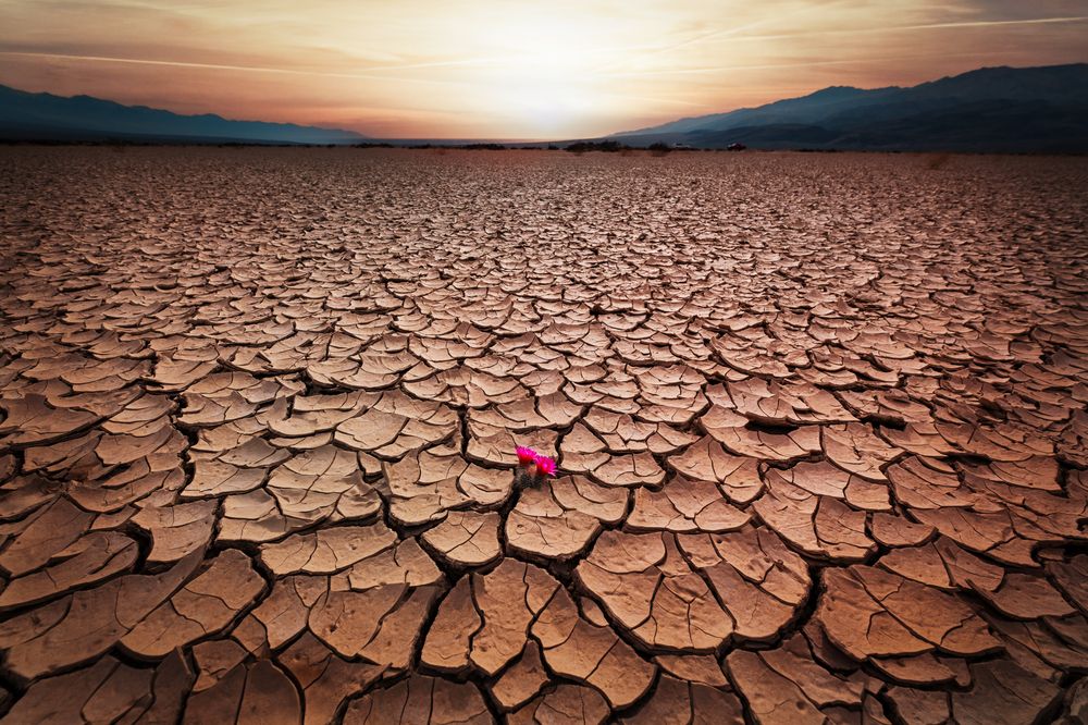 Cracked soil
