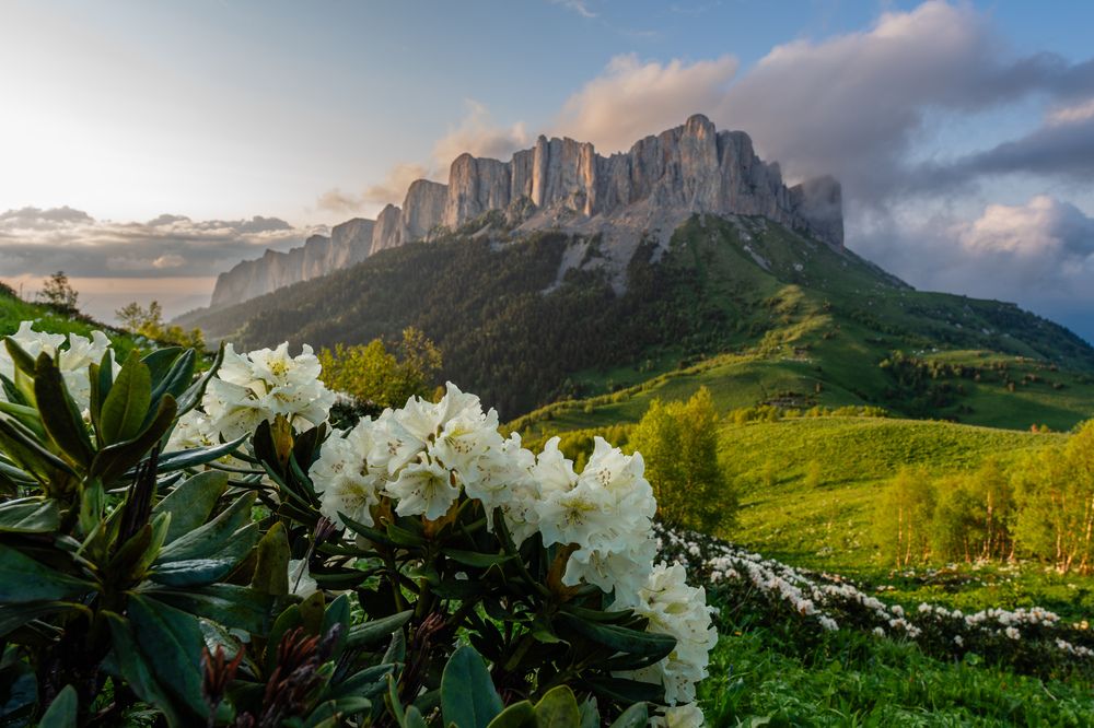 Photograph by Шишкалов Константин