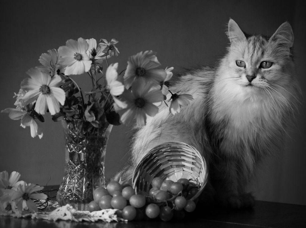 Photograph by Зоя Быкова