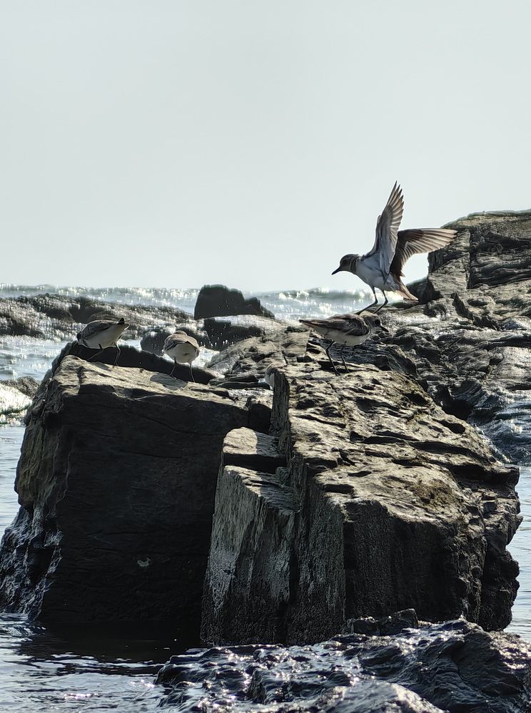 Photograph by Кристина Феминова