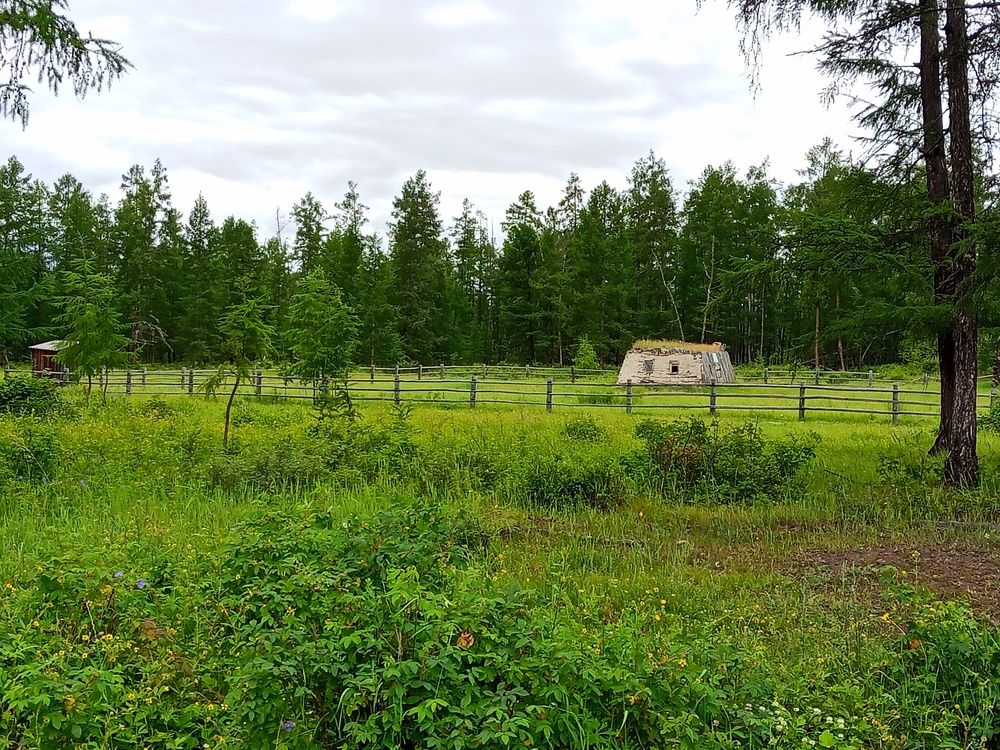 Photo #12351956