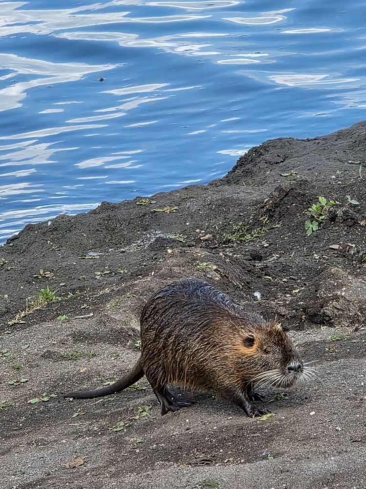 Photograph by Куделенко Оксана