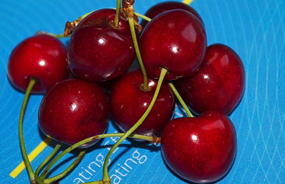 Photograph by Stojan Saveski