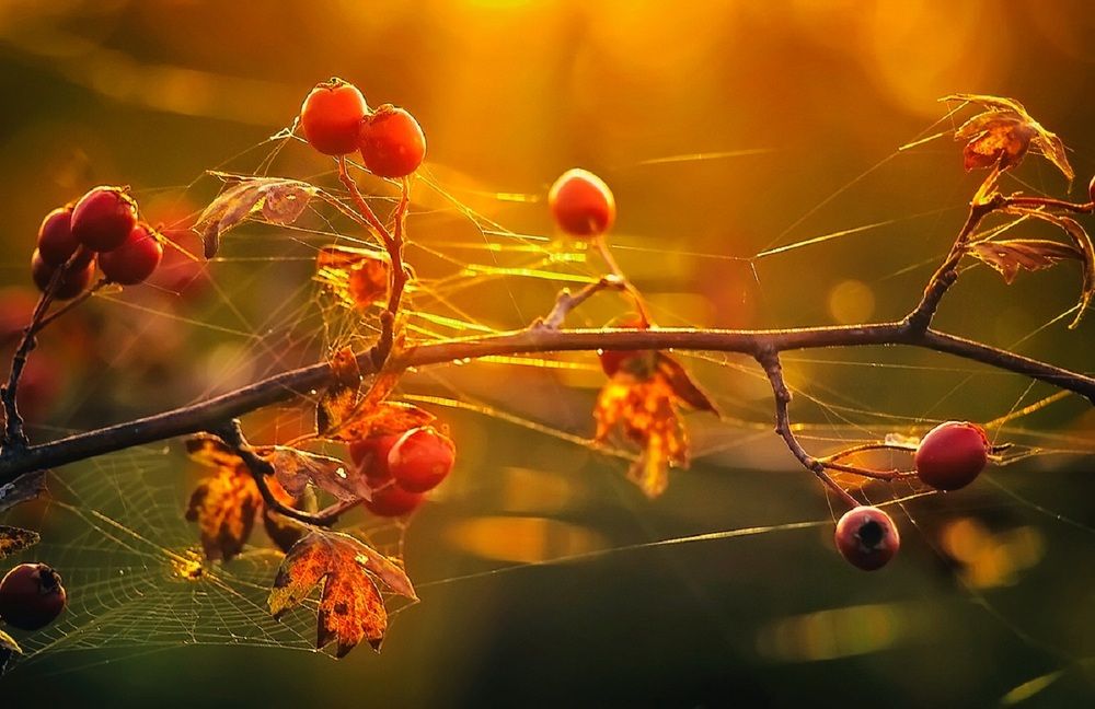 Photograph by Владимир