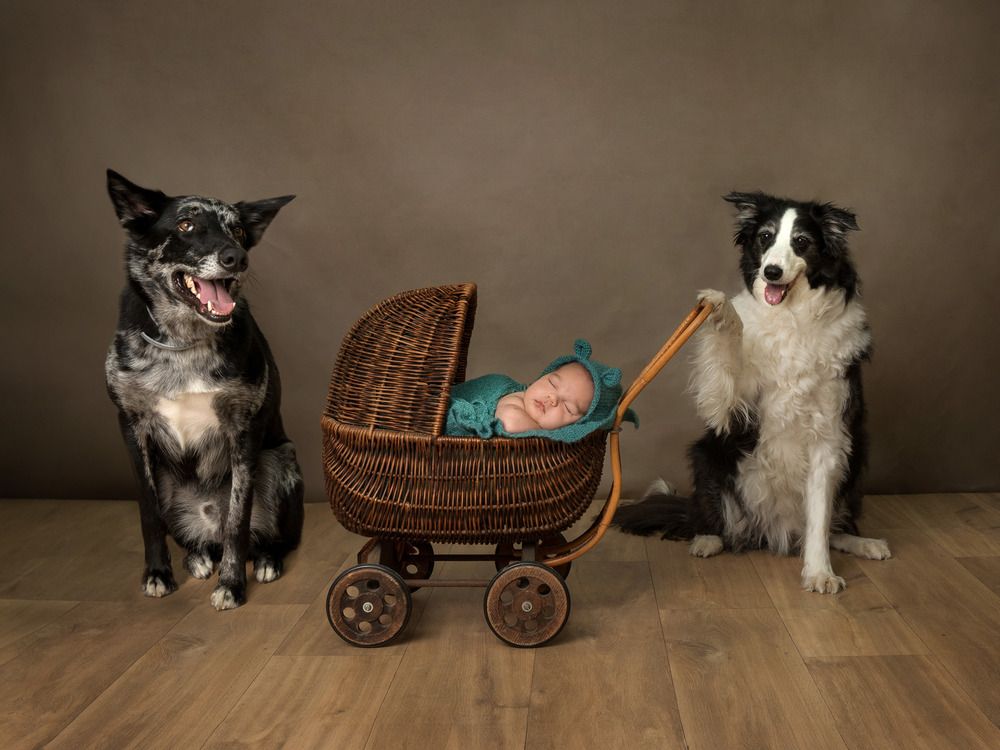 Photograph by Mònica Udina