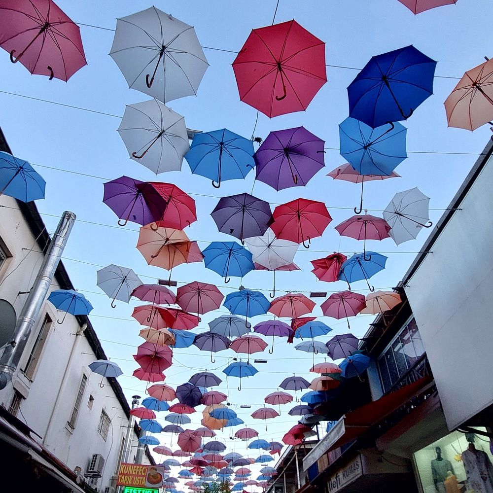 Photograph by Yulia Rotbach