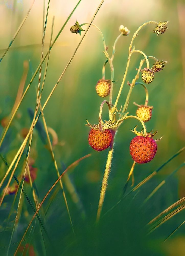 Photograph by Владимир