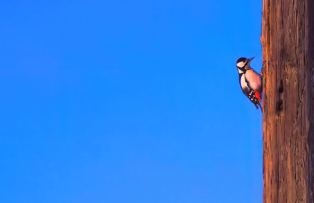 Photograph by Владимир