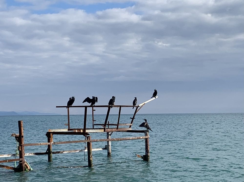 Photograph by Татьяна Семёнова